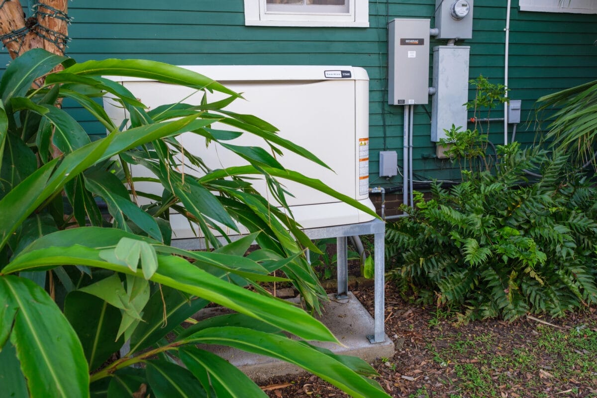 Outdoor generator beside green house wall and plants.